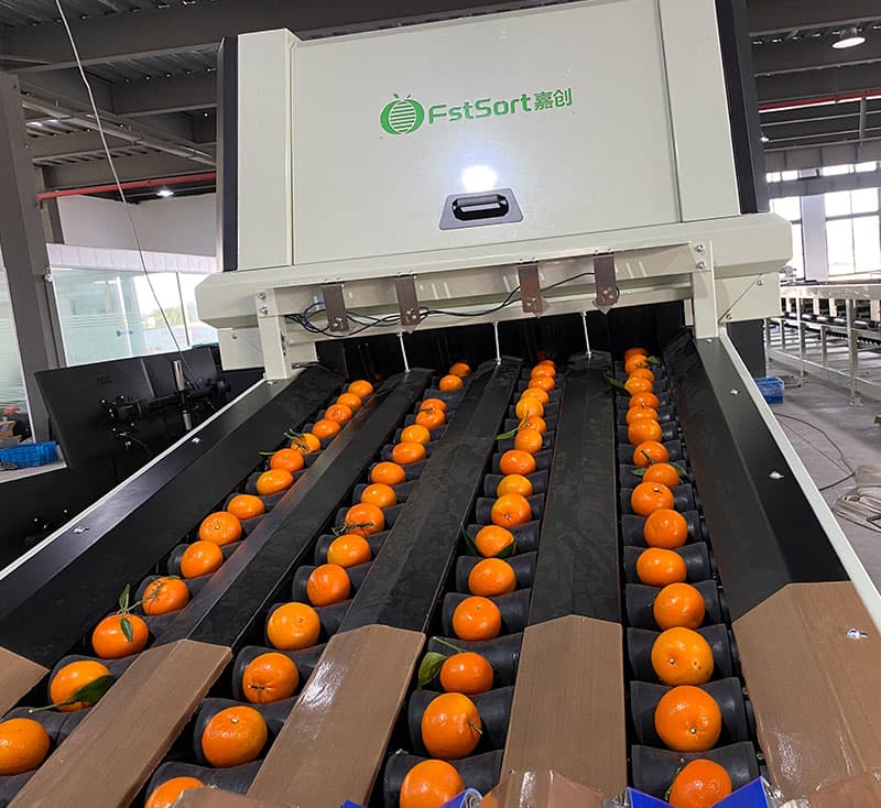 images/1692003175686citrus processing line.jpg